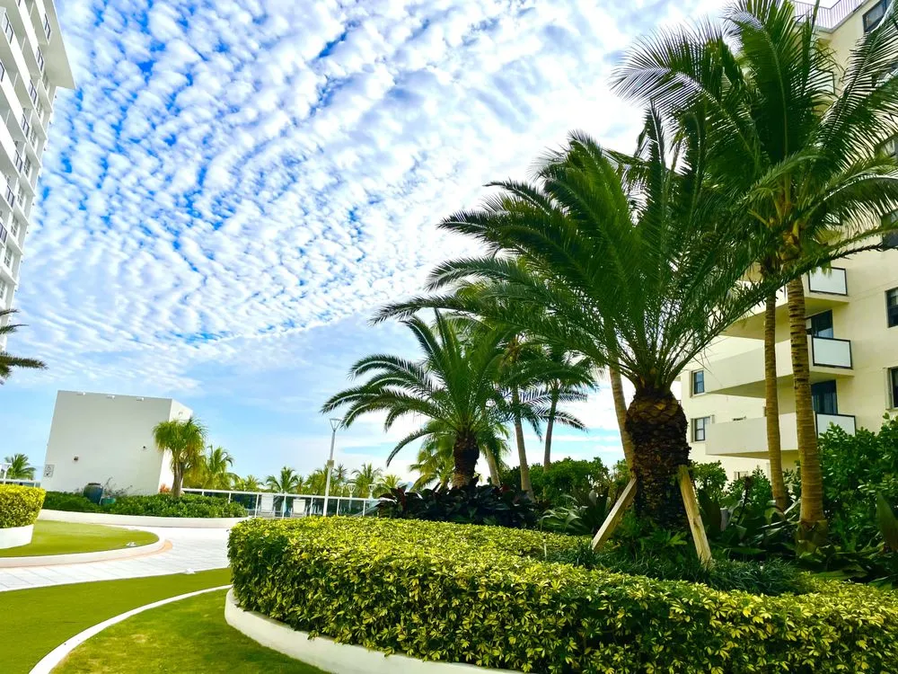 Affordable lawn care service in North Miami, FL - Ecolands