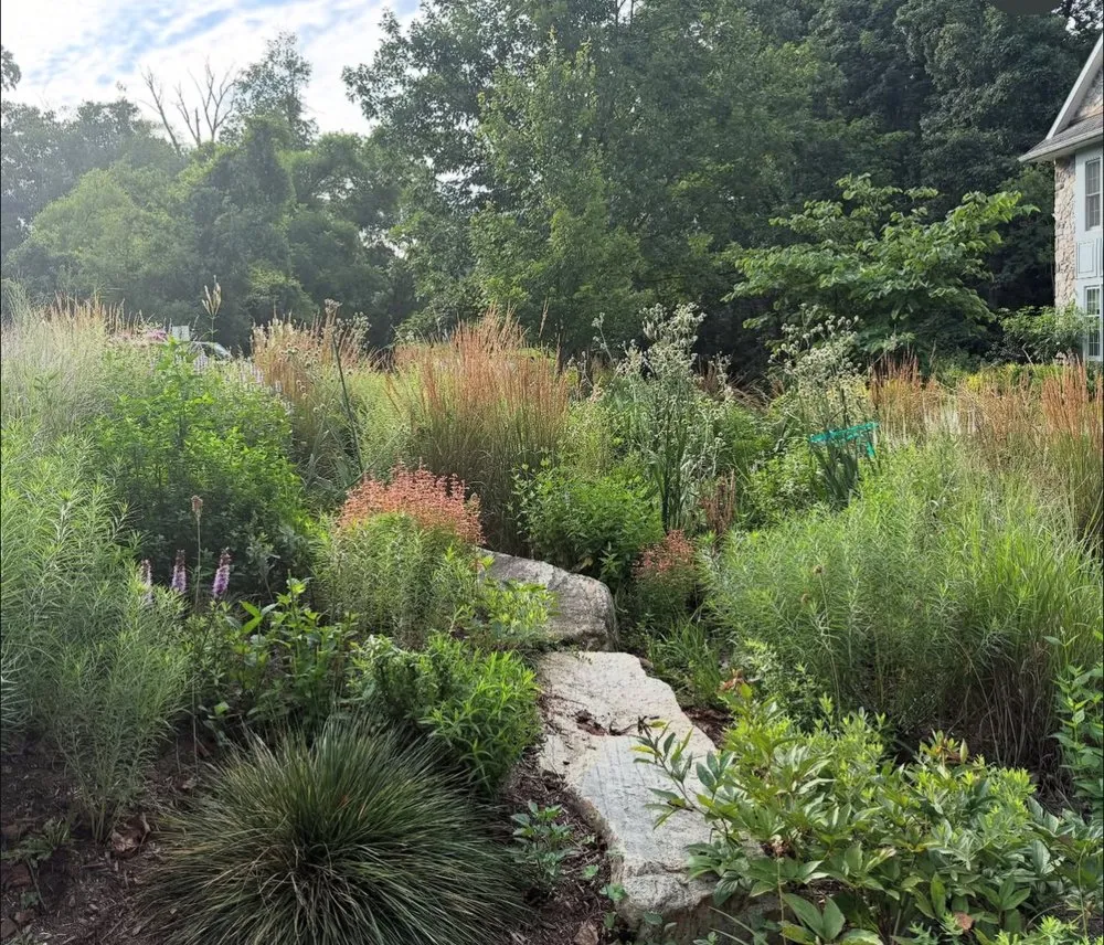 Trusted lawn care service in Conshohocken, PA by EcoLandscapes Design