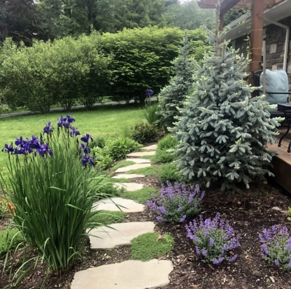 Trusted residential landscaping in Conshohocken, PA by EcoLandscapes Design