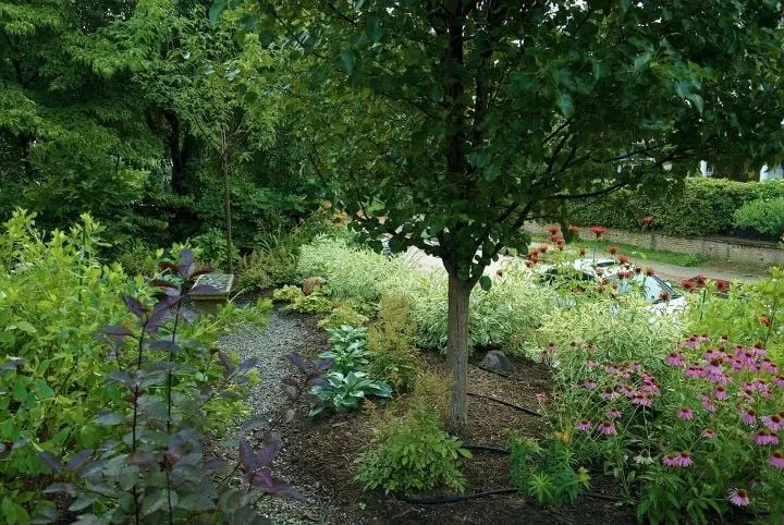 Affordable landscaping services for year-round maintenance in Conshohocken, PA by EcoLandscapes Design