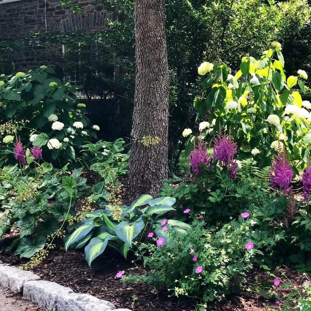 Trusted landscape design in Conshohocken, PA by EcoLandscapes Design