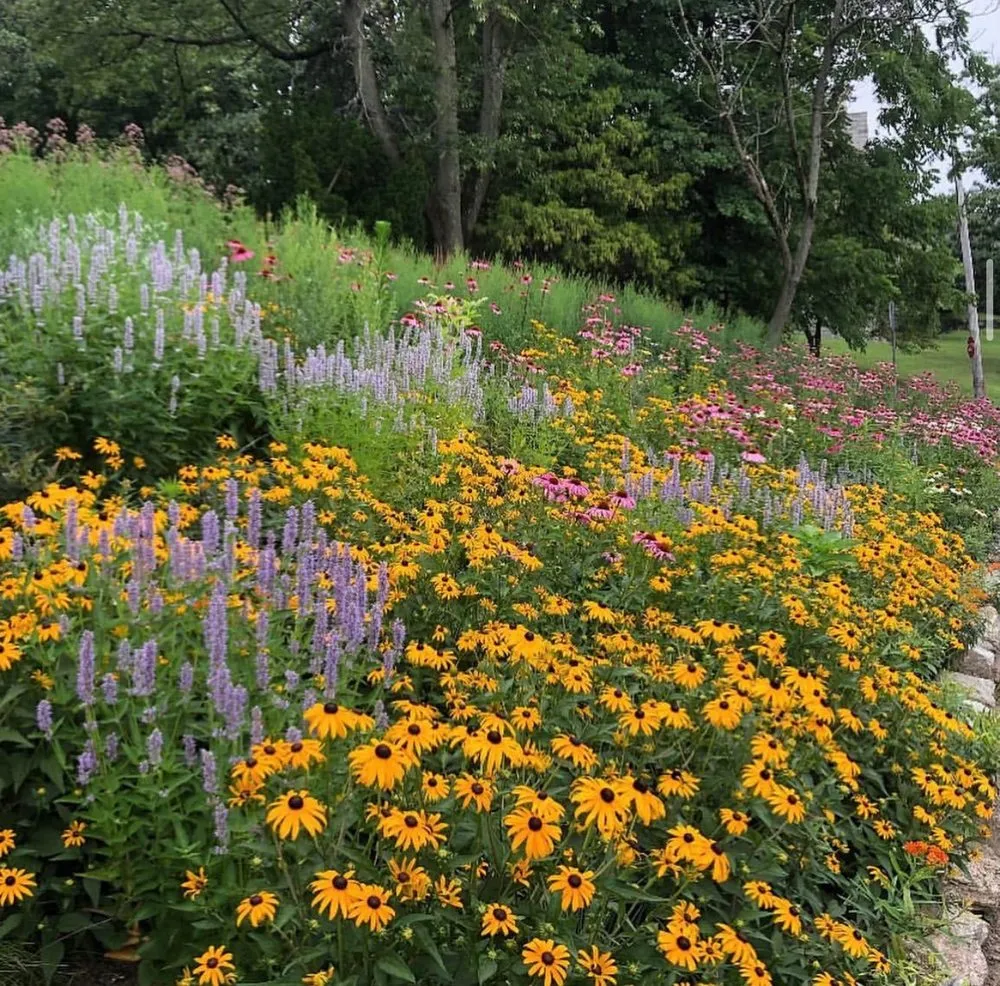 Local lawn mowing service experts serving Conshohocken, PA - EcoLandscapes Design