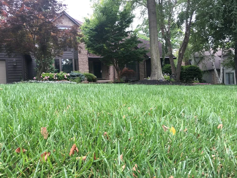 Reliable landscape installation for outdoor upgrades across Eastlake, OH - Ecolawn