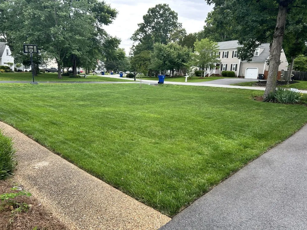 Local lawn mowing service in Richmond, VA by EcoLawn Electric