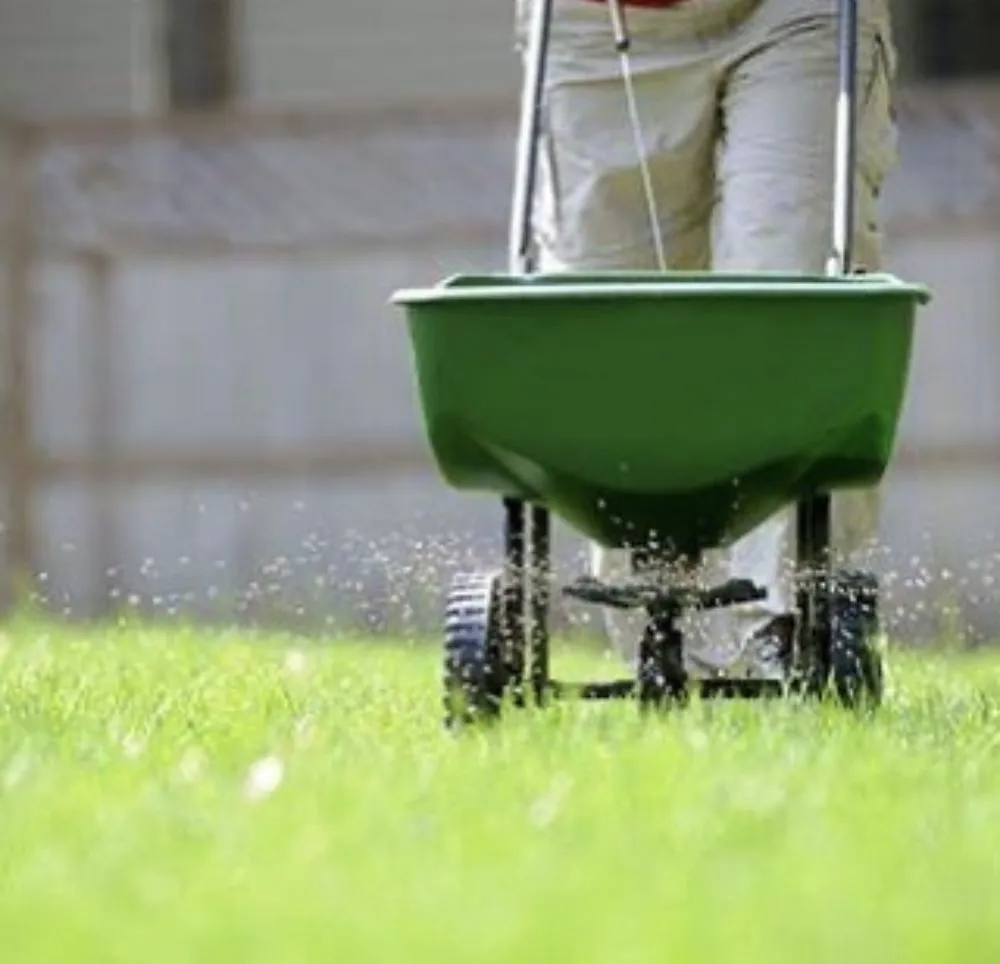 Reliable lawn mowing service in Afton, WY by EcoLife Star Valley