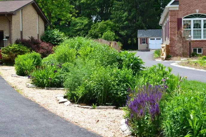 Top-rated yard cleanup service in Frederick, MD by Ecologia