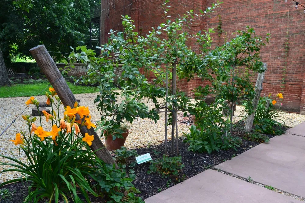 Top-rated residential landscaping for beautiful yards in Frederick, MD by Ecologia
