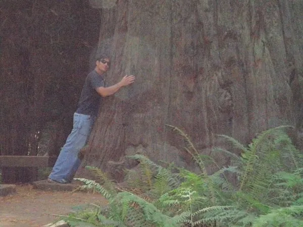 Professional outdoor landscaping for year-round maintenance in Rockway Beach, OR by Ecologic Tree