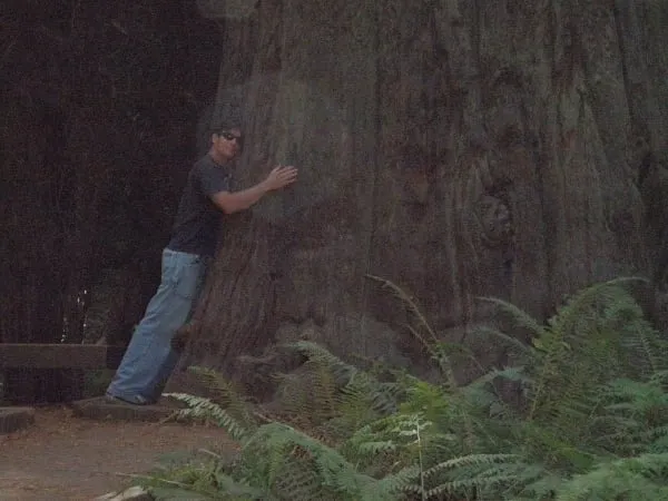 Trusted landscape installation in Rockway Beach, OR by Ecologic Tree