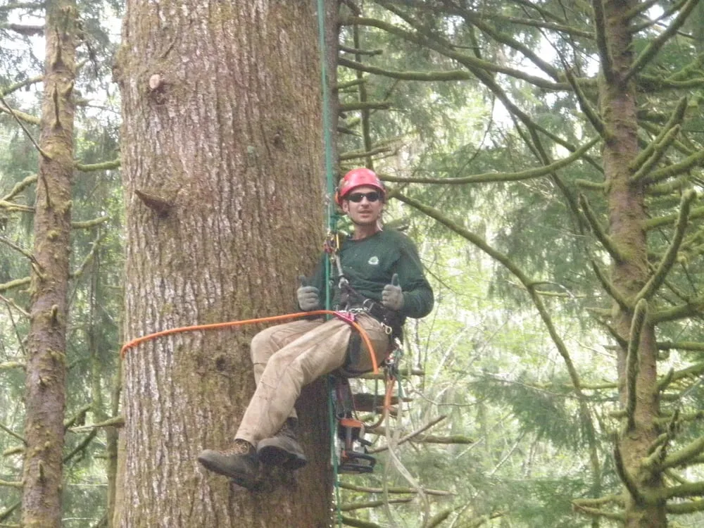 Trusted outdoor landscaping near you across Rockway Beach, OR - Ecologic Tree
