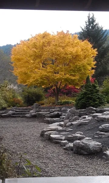 Top-rated landscape installation for residential properties in Rockway Beach, OR by Ecologic Tree