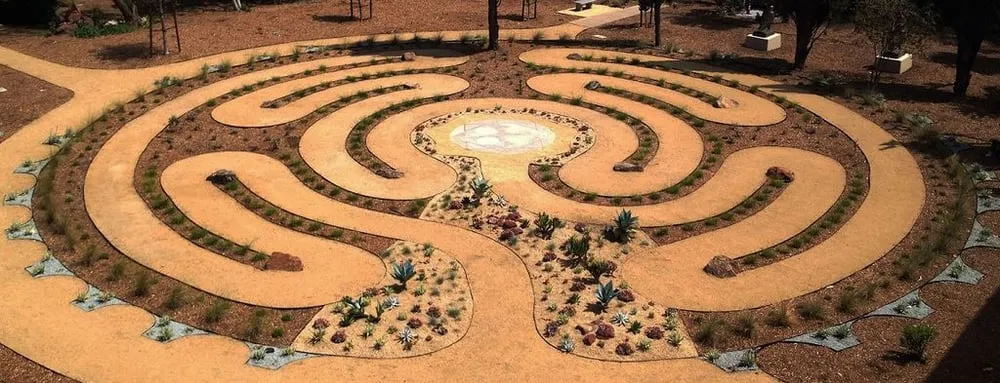 Trusted yard cleanup service for year-round maintenance in Santa Cruz, CA by Ecological Concerns