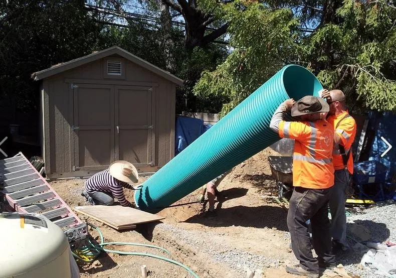 Local yard cleanup service for year-round maintenance in Santa Cruz, CA by Ecological Concerns