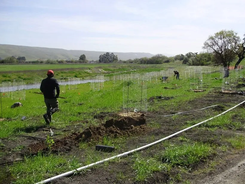 Affordable yard cleanup service in Santa Cruz, CA by Ecological Concerns