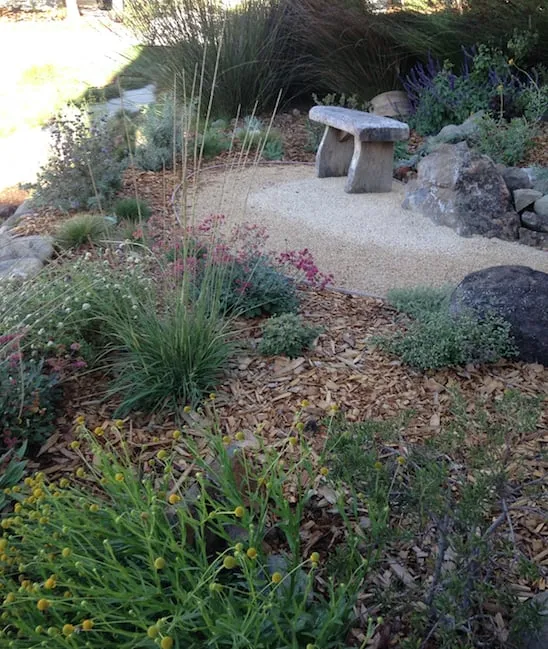Reliable landscape installation in Santa Cruz, CA - Ecological Concerns