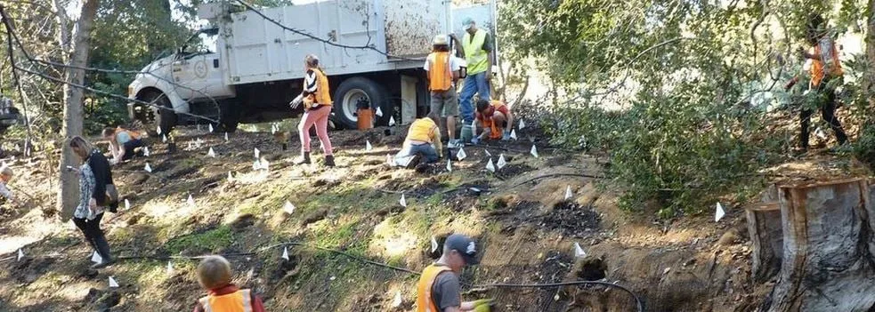 Professional landscape installation for year-round maintenance across Santa Cruz, CA - Ecological Concerns