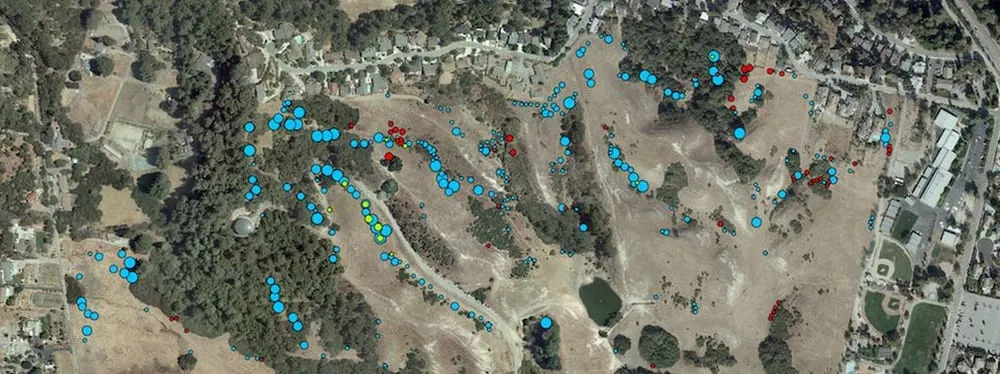 Professional yard maintenance for outdoor upgrades across Santa Cruz, CA - Ecological Concerns