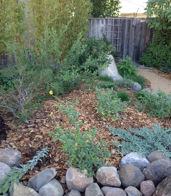 Reliable yard cleanup service in Santa Cruz, CA - Ecological Concerns