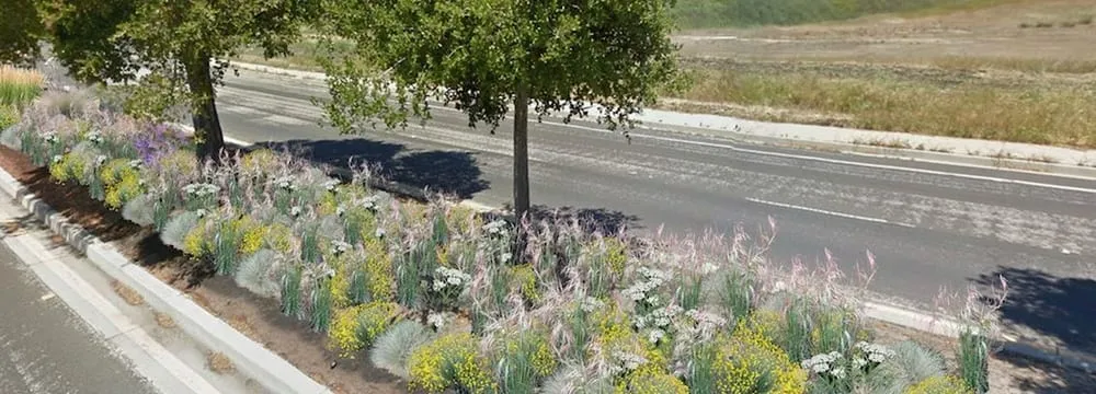 Expert landscape design with custom design across Santa Cruz, CA - Ecological Concerns