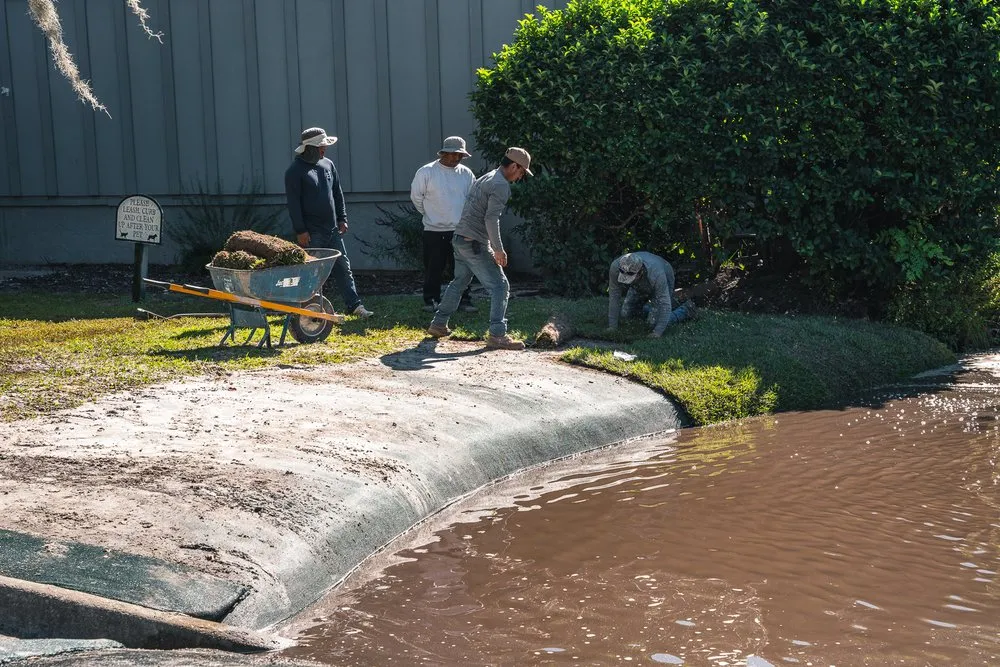 Top-rated lawn care service for beautiful yards across Charleston, SC - Ecological Improvements