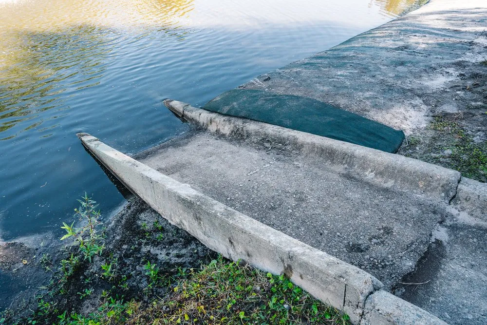 Top-rated yard cleanup service for beautiful yards in Charleston, SC by Ecological Improvements