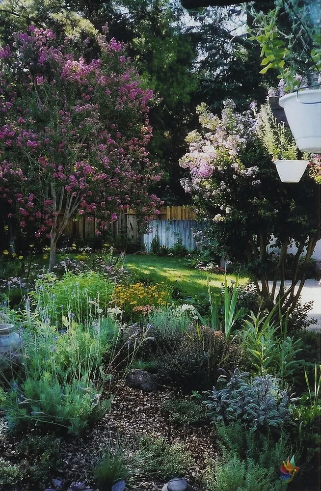 Top-rated landscape design experts serving Davis, CA - Ecological Landscape Design
