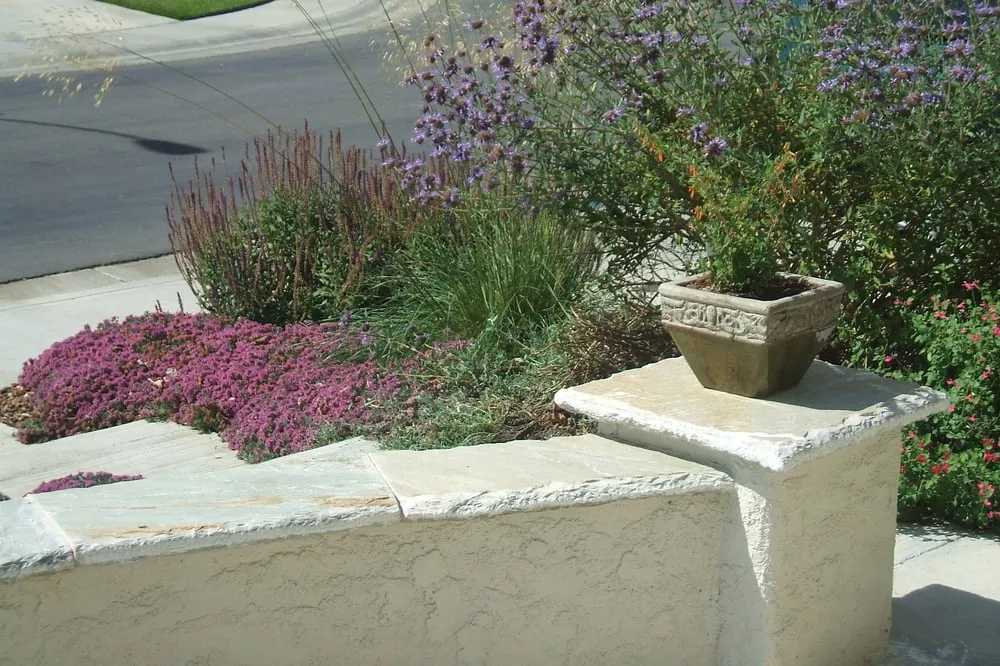 Trusted residential landscaping experts serving Davis, CA - Ecological Landscape Design