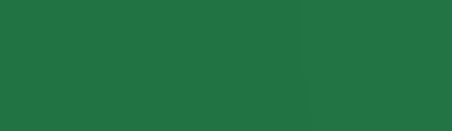 Custom yard maintenance with custom design across Boise, ID - Ecologie Yard Care