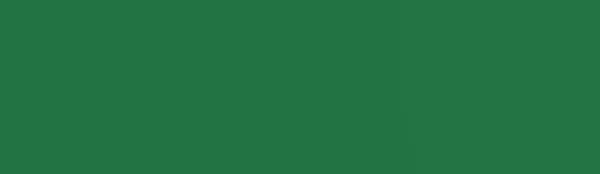 Ecologie Yard Care Logo