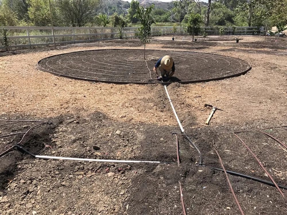 Custom landscape design in Encinitas, CA by Ecology Artisans