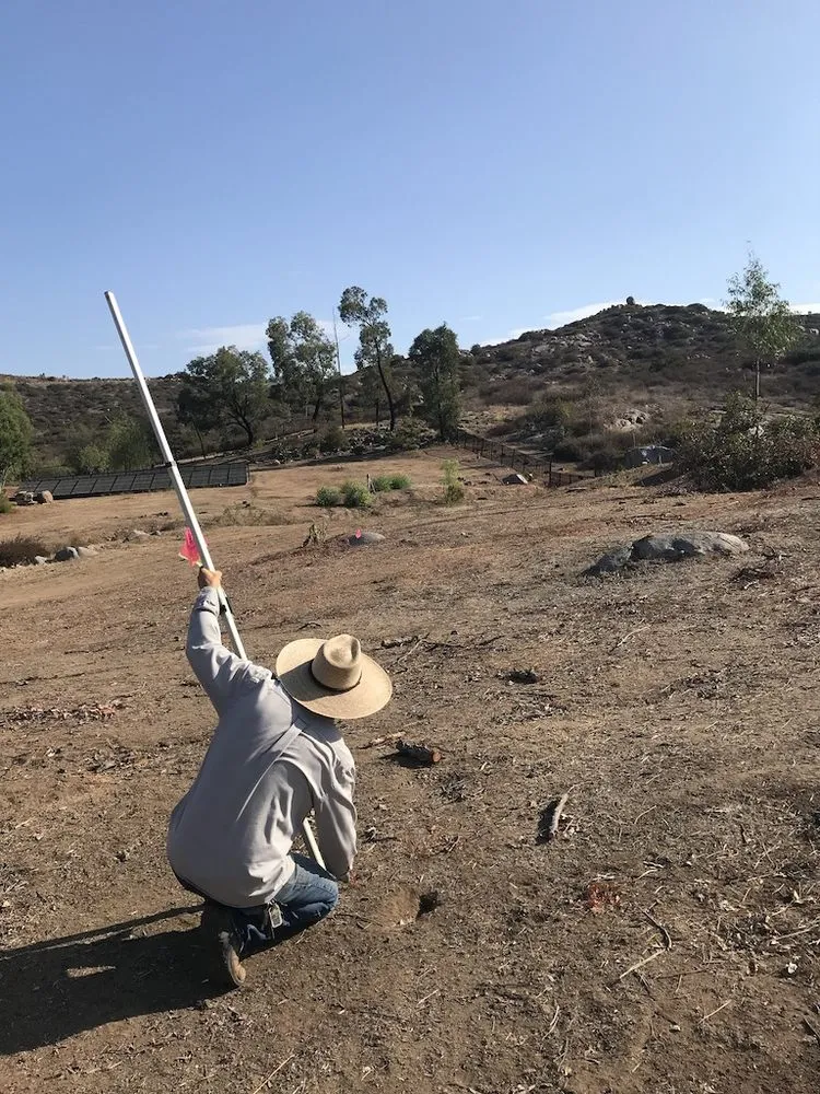 Custom yard cleanup service experts serving Encinitas, CA - Ecology Artisans