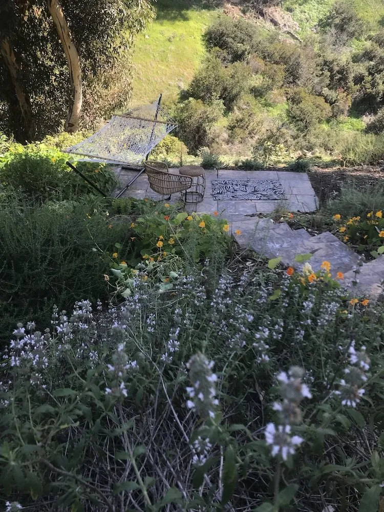 Professional lawn mowing service with custom design across Encinitas, CA - Ecology Artisans