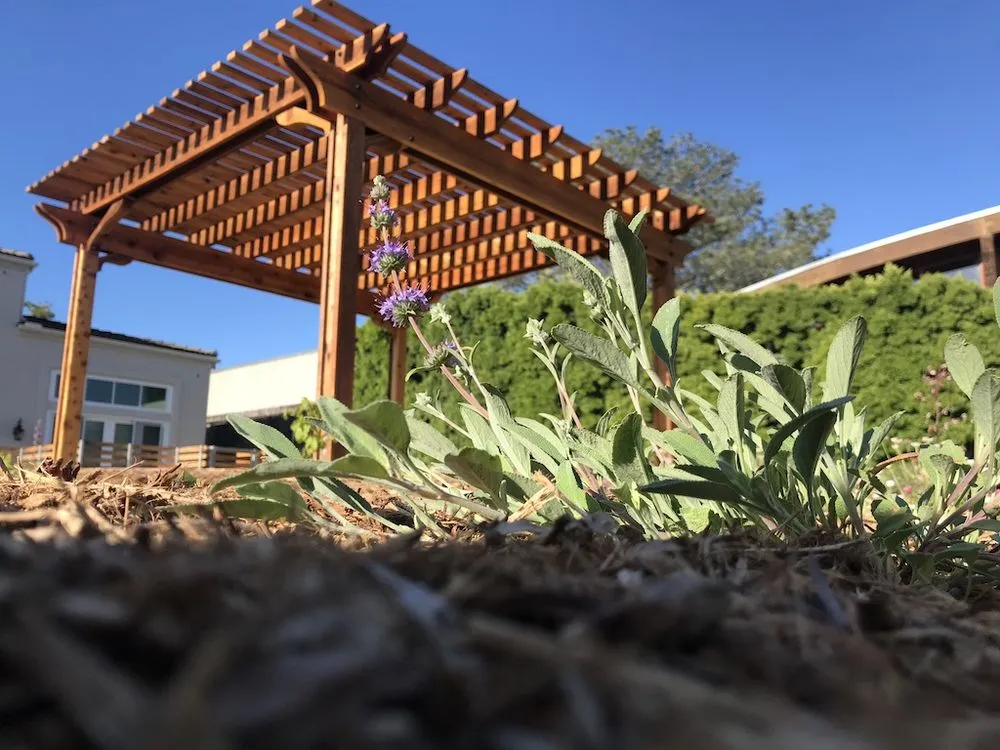 Reliable garden landscaping in Encinitas, CA by Ecology Artisans