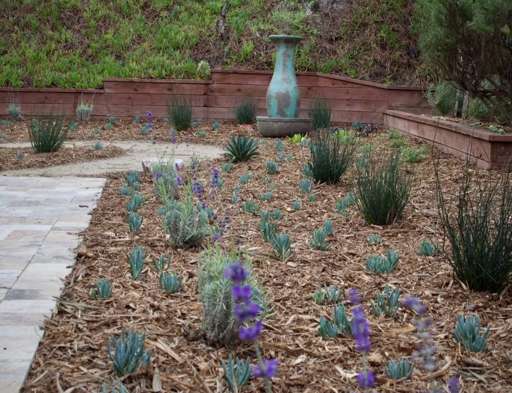 Reliable landscape installation for outdoor upgrades in Encinitas, CA by Ecology Artisans