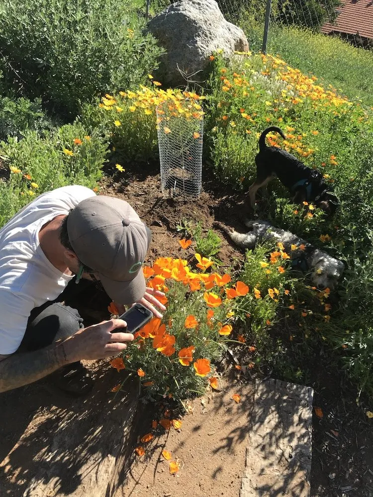 Custom lawn care service for outdoor upgrades in Encinitas, CA by Ecology Artisans