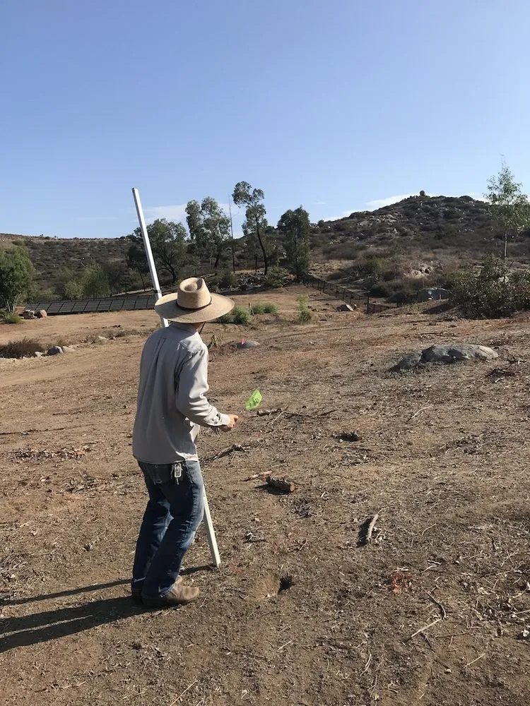 Trusted lawn care service in Encinitas, CA - Ecology Artisans