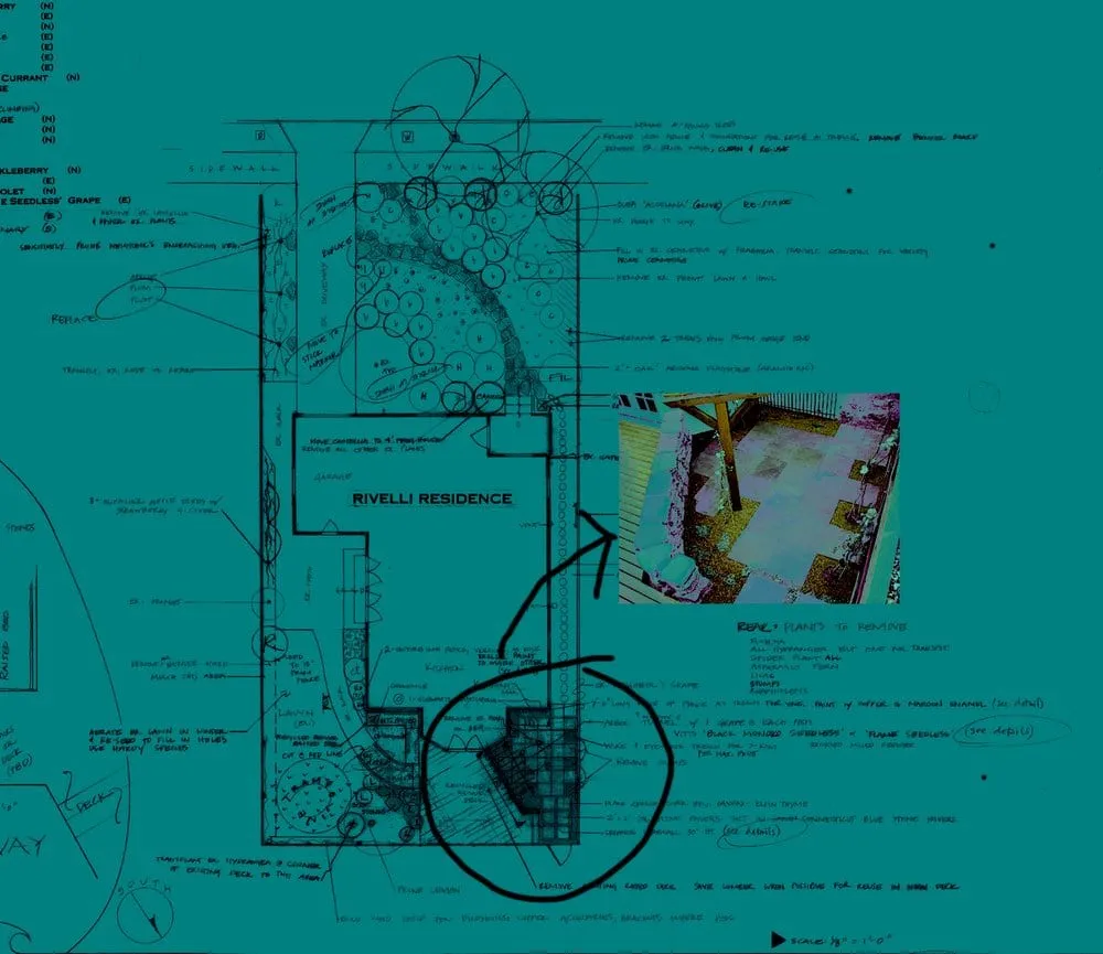 Professional lawn care service in Asheville, NC - Ecology By Design