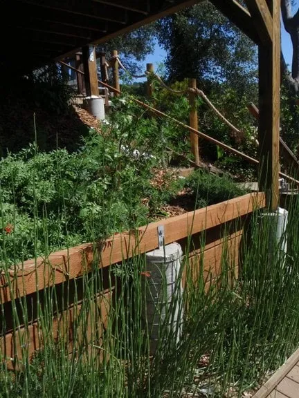 Expert landscape design in Asheville, NC - Ecology By Design