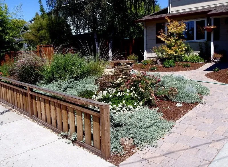 Trusted yard cleanup service in Asheville, NC by Ecology By Design