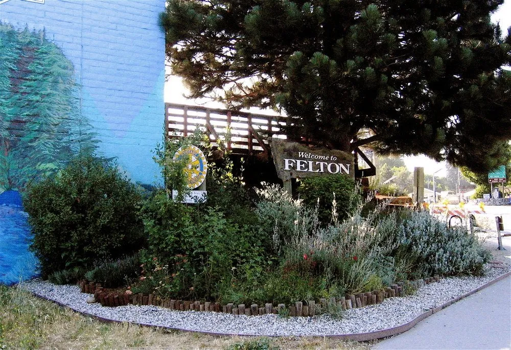 Trusted landscaping services with custom design in Asheville, NC by Ecology By Design