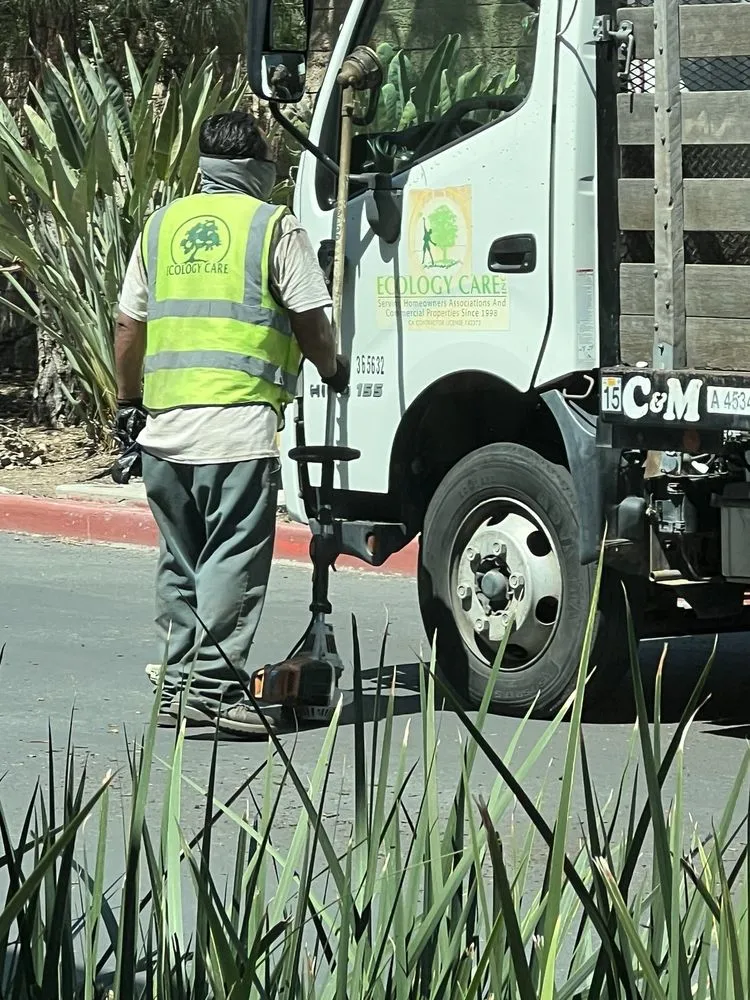 Professional outdoor landscaping for year-round maintenance in El Cajon, CA by Ecology Care