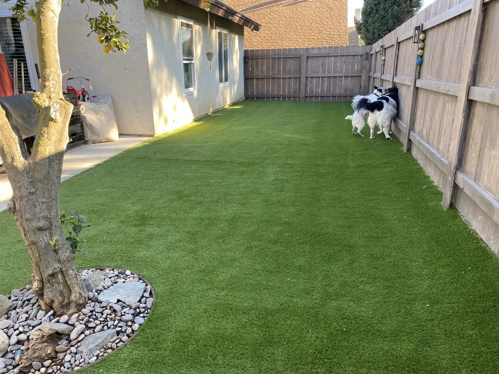 Reliable lawn mowing service in El Cajon, CA by Ecology Care