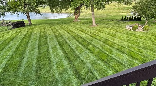 EcoLush Lawn Innovations