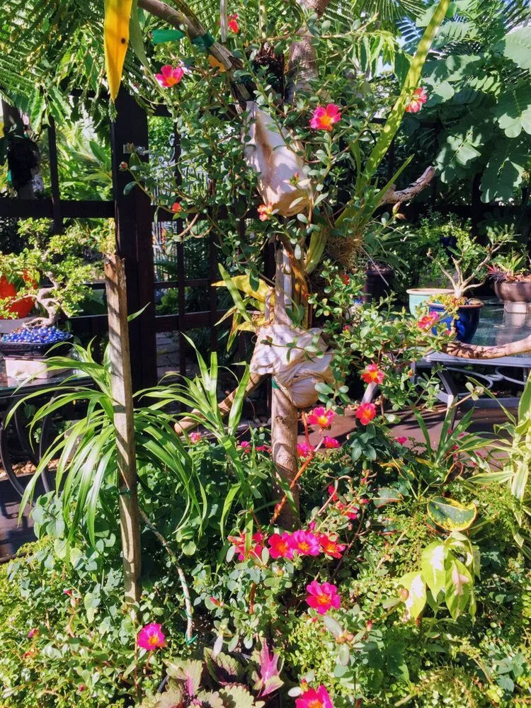 Custom outdoor landscaping for residential properties in Fort Lauderdale, FL by Ecolux Landscapes