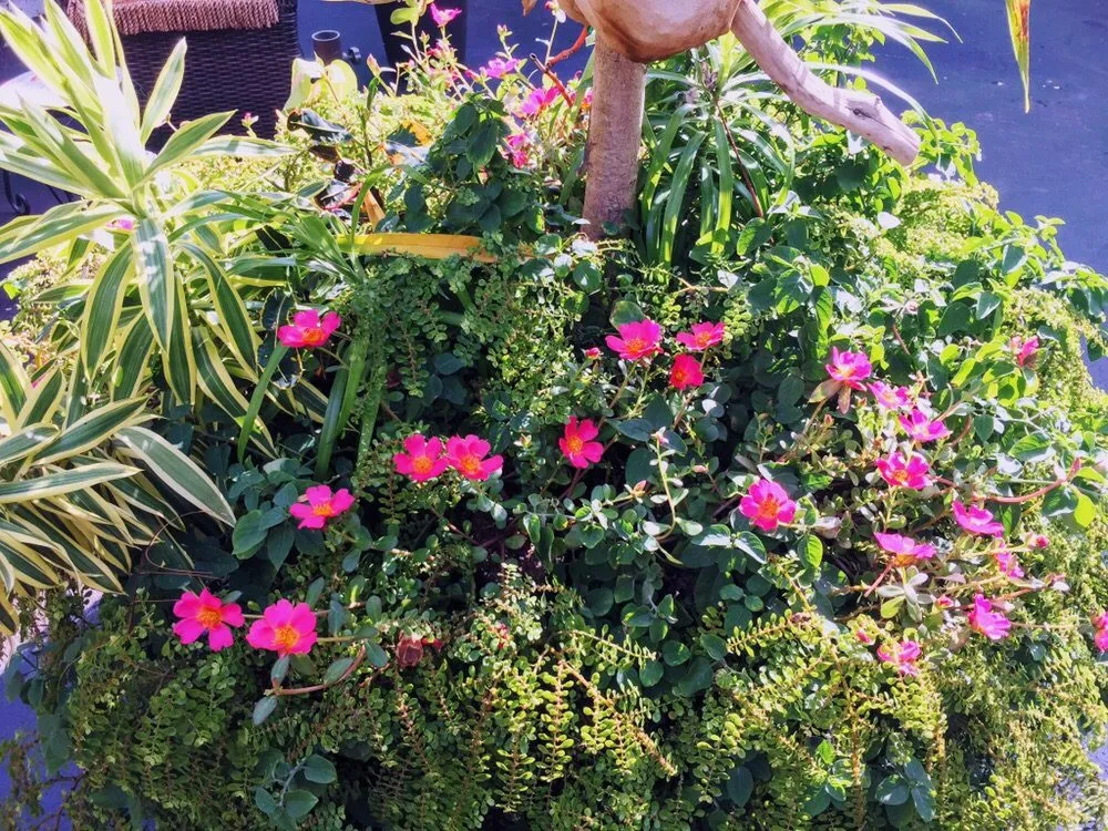 Custom residential landscaping for year-round maintenance in Fort Lauderdale, FL by Ecolux Landscapes