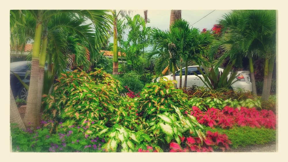 Custom lawn mowing service in Fort Lauderdale, FL by Ecolux Landscapes