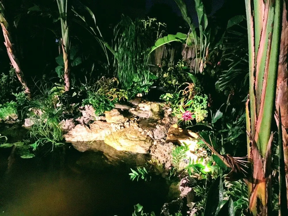 Reliable landscaping services for homes across Fort Lauderdale, FL - Ecolux Landscapes