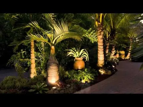 Custom yard cleanup service experts serving Fort Lauderdale, FL - Ecolux Landscapes