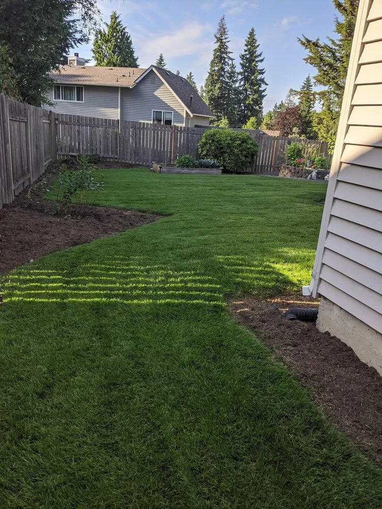 Professional yard cleanup service in Lynnwood, WA by Ecomecos Landscaping