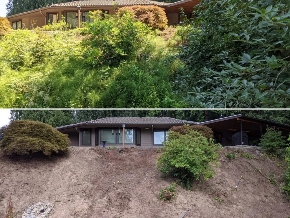 Reliable yard maintenance in Lynnwood, WA - Ecomecos Landscaping